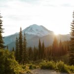 A view of a mountain with trees in the foreground